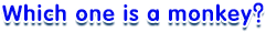 question